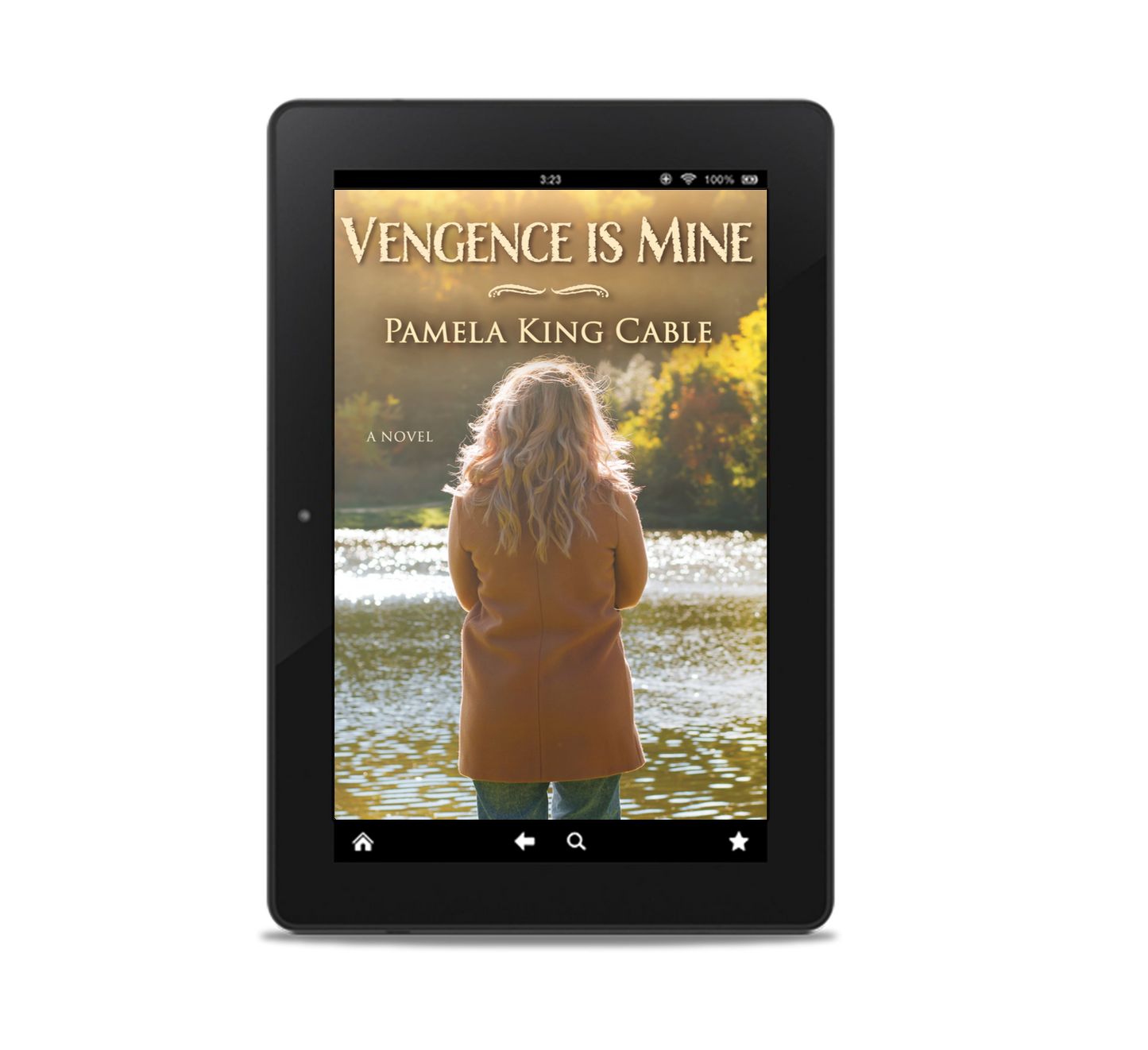 Vengeance Is Mine E-Book